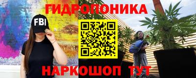 соль ск Кулебаки